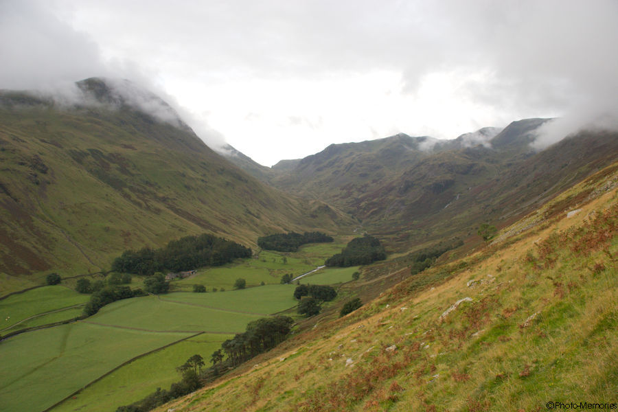 2008-09-12-0297.jpg