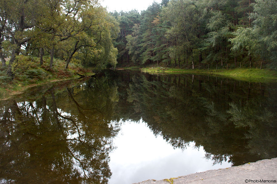 2008-09-12-0326.jpg