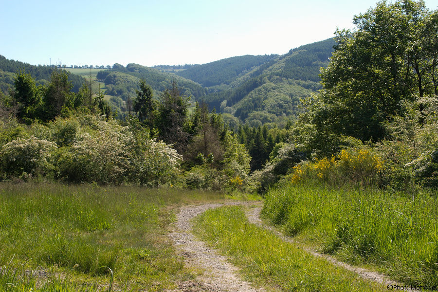 2009-05-23-0039.jpg