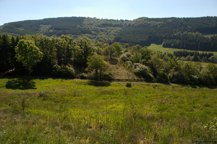 2009-05-23-0040.jpg