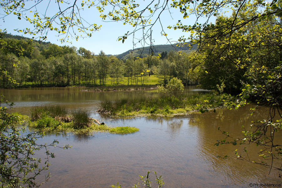 2009-05-23-0042.jpg