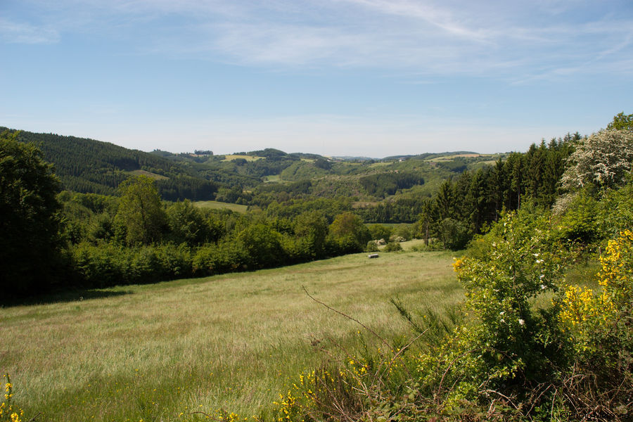 2009-05-23-0045.jpg