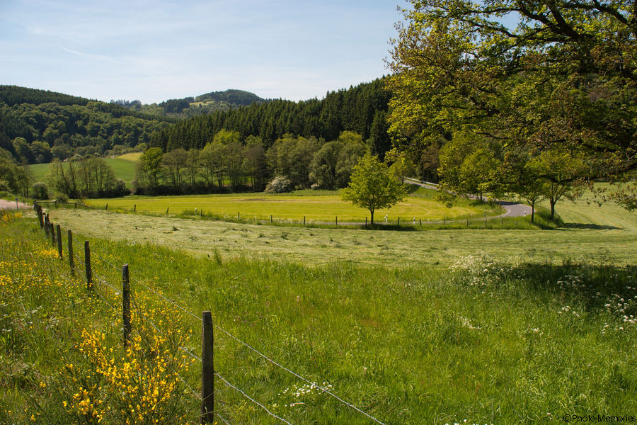 2009-05-23-0047.jpg