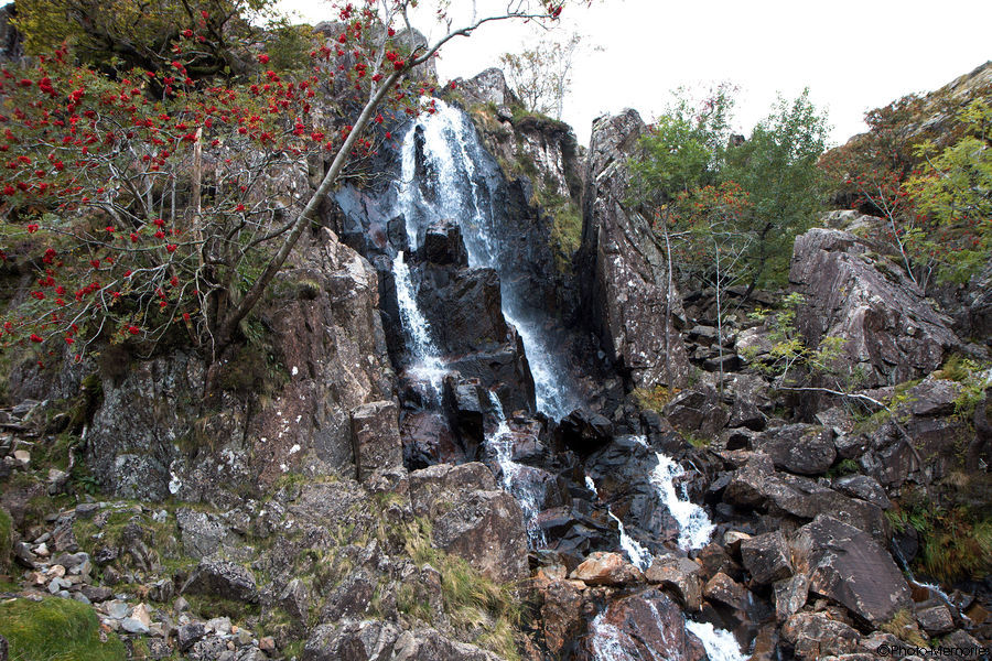 2009-09-13-0185.jpg