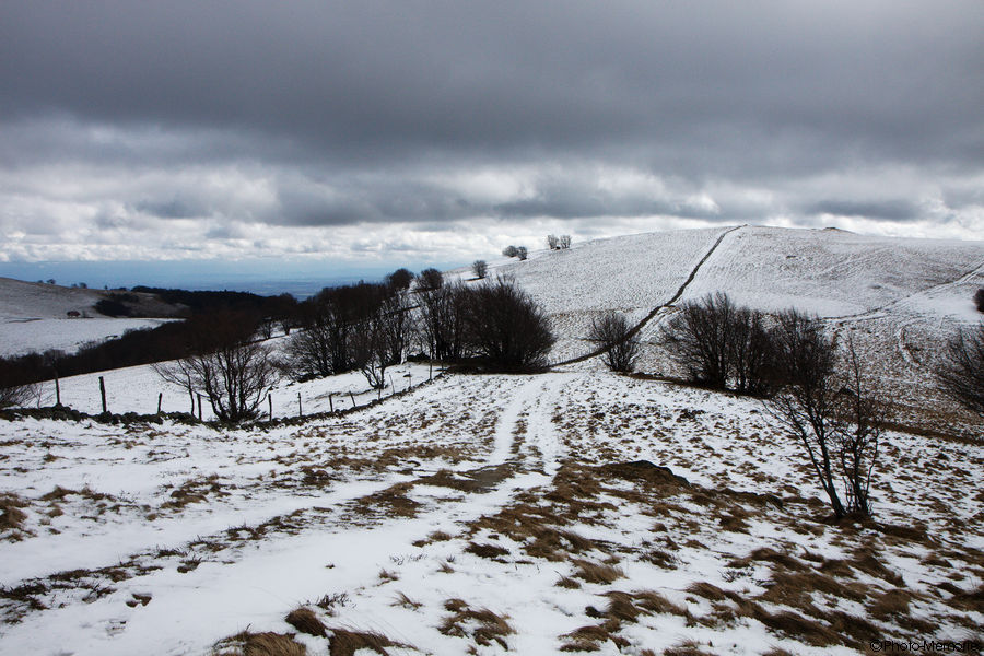 2010-04-04-0036.jpg