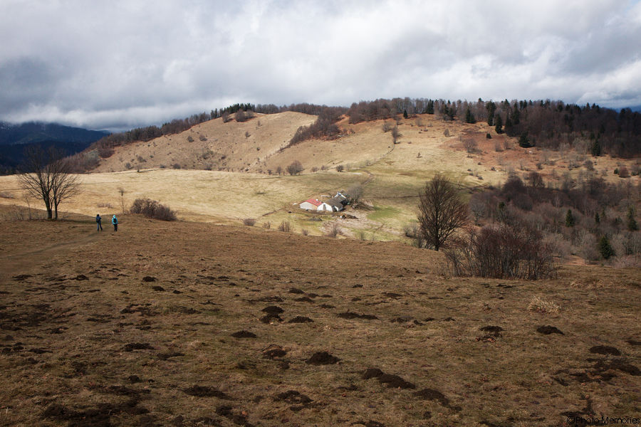 2010-04-04-0043.jpg