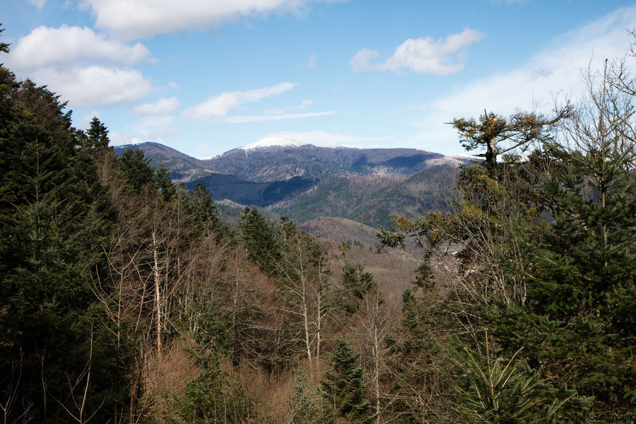 2010-04-04-0045.jpg