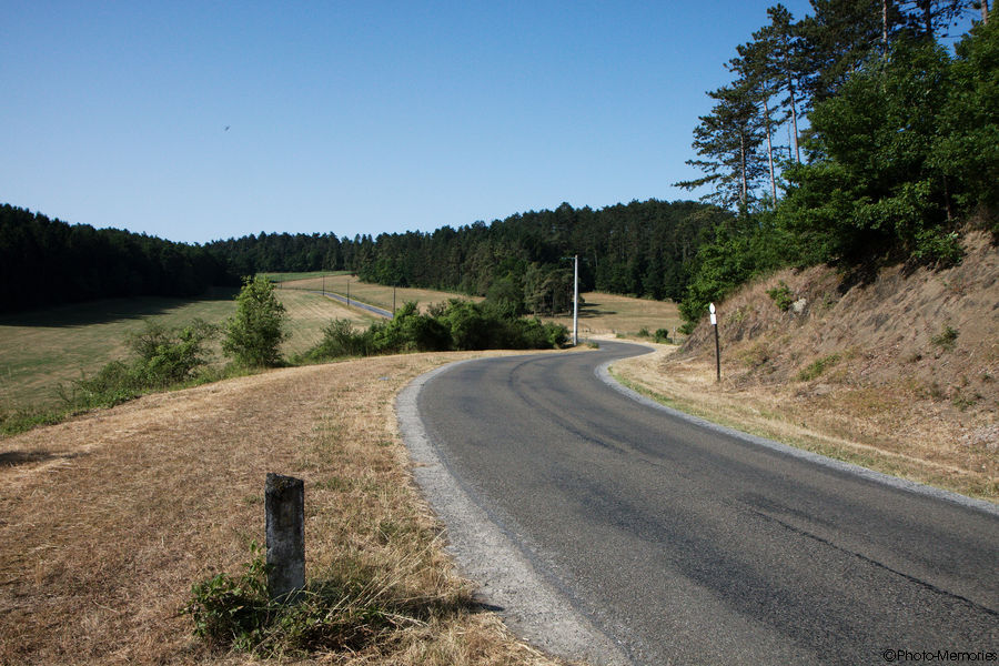 2010-07-10-0005.jpg