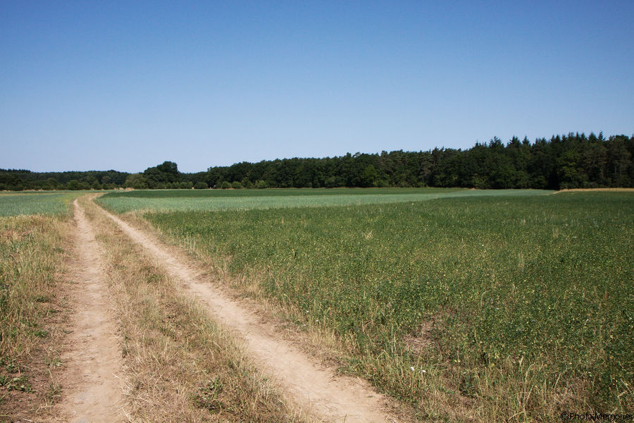 2010-07-10-0016.jpg
