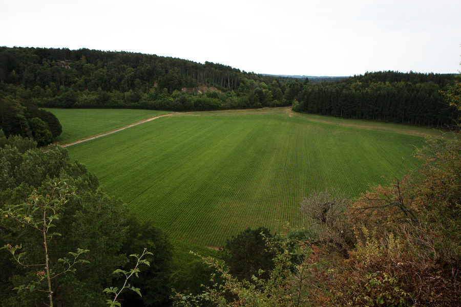 2010-07-12-0054.jpg