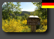 album wibmannsdorf 2009