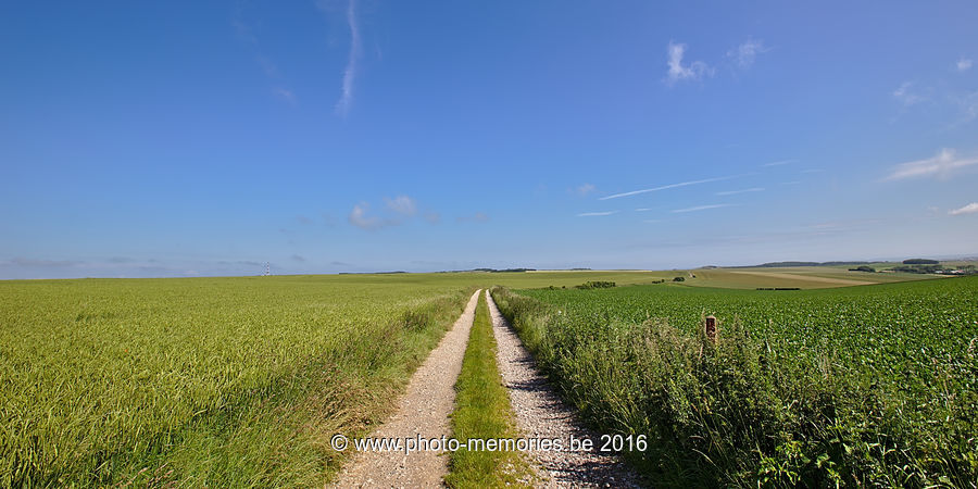2016-06-24-0008.jpg