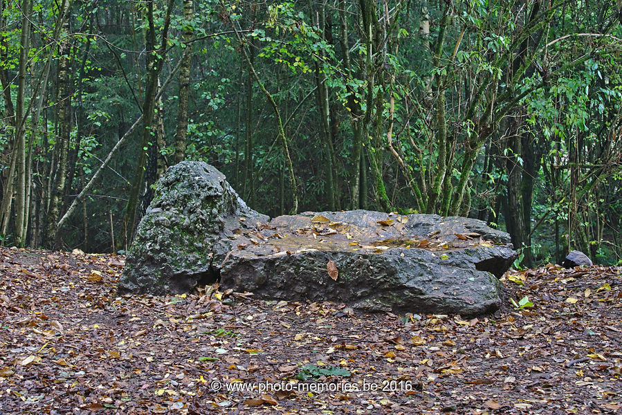 2016-10-15-0007.jpg