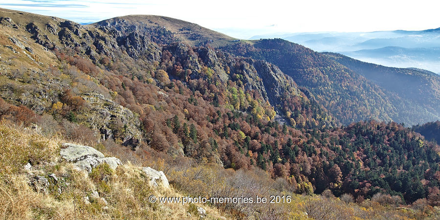 2016-10-29-0012.jpg