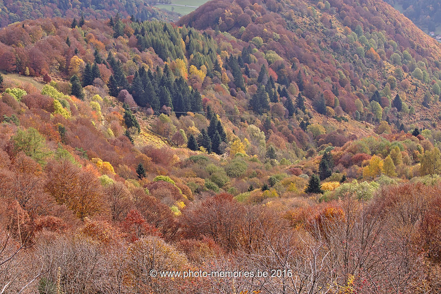 2016-10-29-0019.jpg