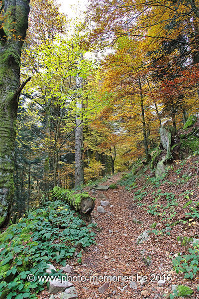 2016-10-29-0029.jpg