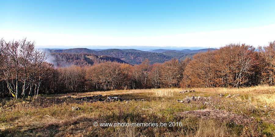 2016-10-29-0036.jpg