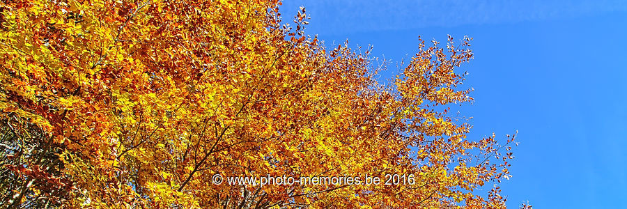 2016-10-30-0056.jpg