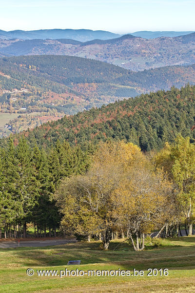 2016-10-31-0082.jpg