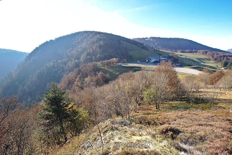 2016-11-01-0095.jpg