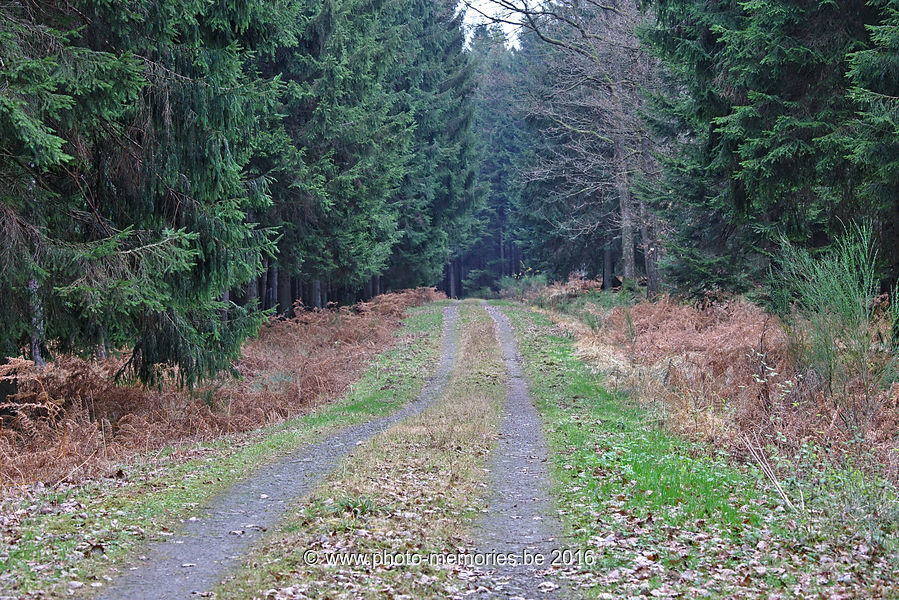 2016-11-26-0009.jpg