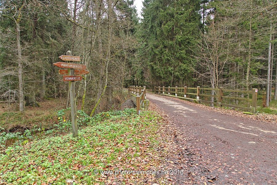 2016-11-26-0012.jpg