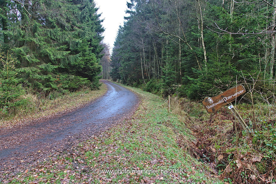 2016-11-27-0041.jpg