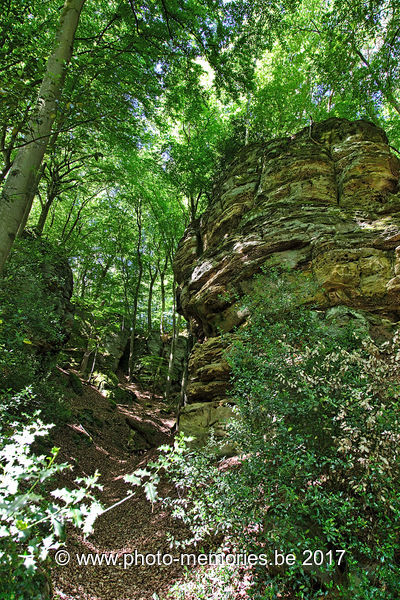 2017-06-11-0010.jpg