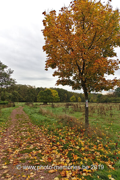 2019-10-22-0059.jpg