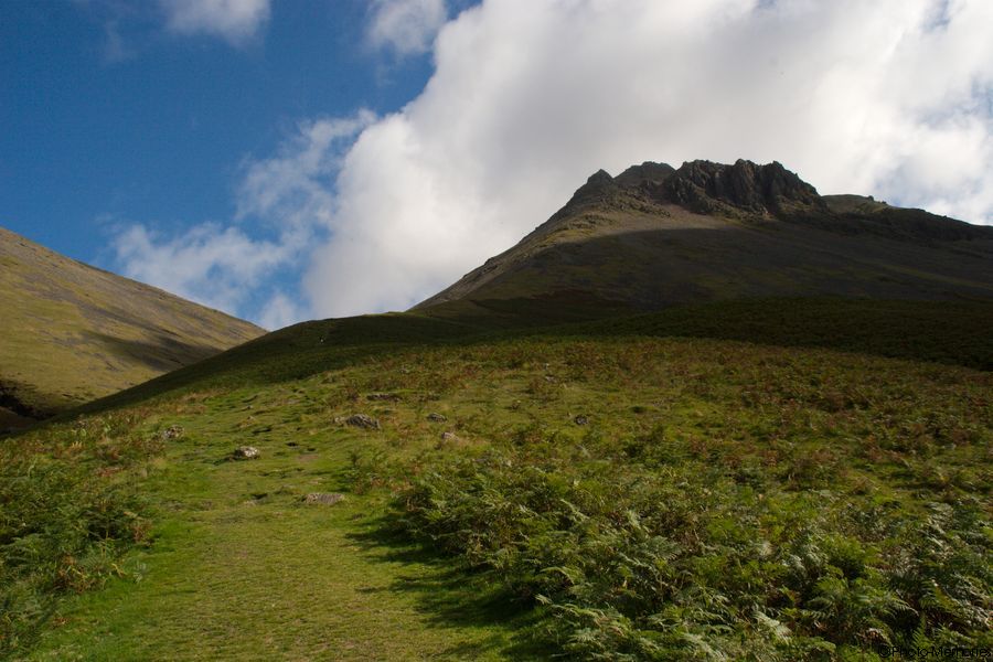 2007-09-03-0061.jpg