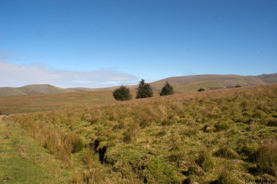 2007-09-04-0102.jpg