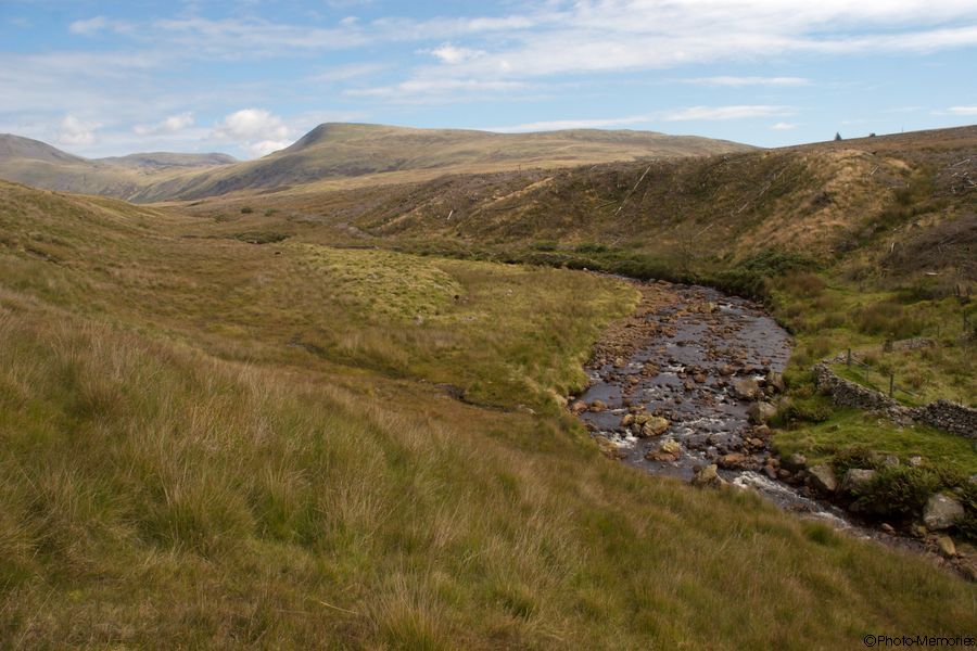 2007-09-04-0108.jpg