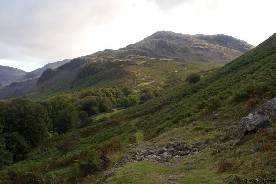 2007-09-05-0116.jpg