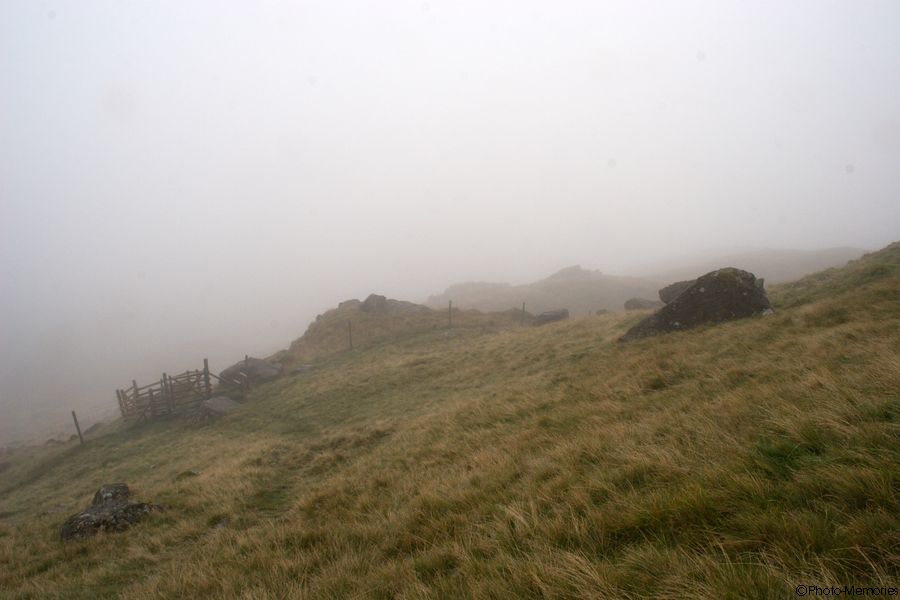 2007-09-05-0120.jpg