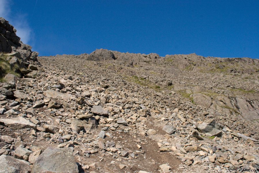 2007-09-07-0176.jpg