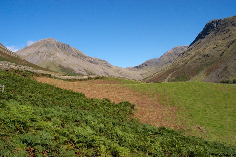 2007-09-07-0182.jpg