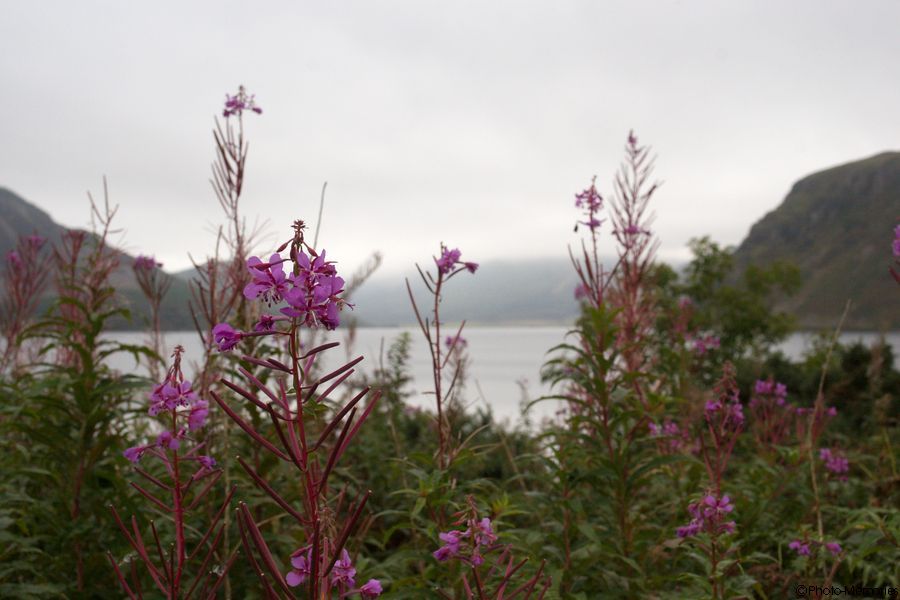 2007-09-11-0243.jpg