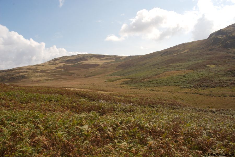 2007-09-12-0251.jpg