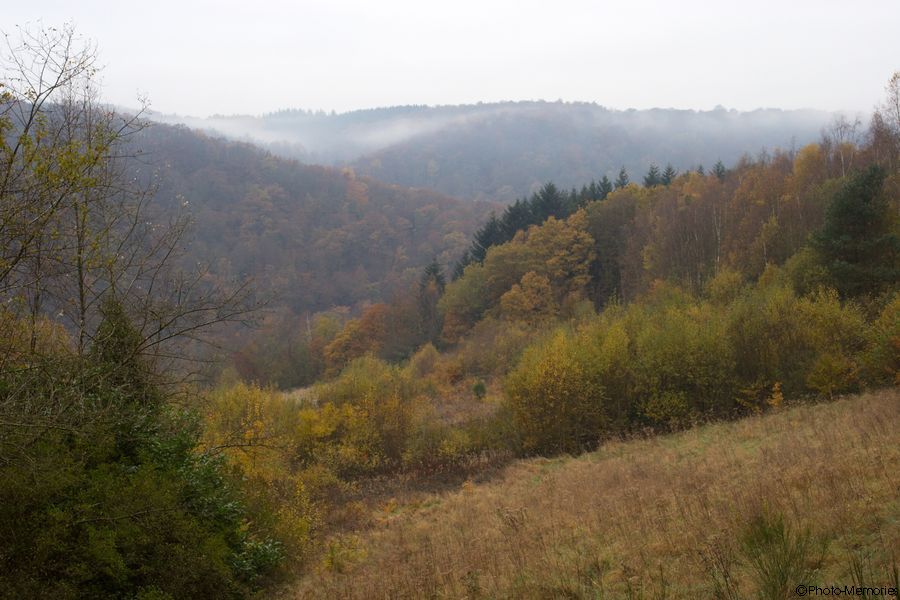 2007-11-01-0002.jpg