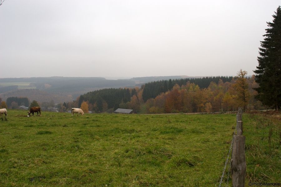 2007-11-02-0034.jpg