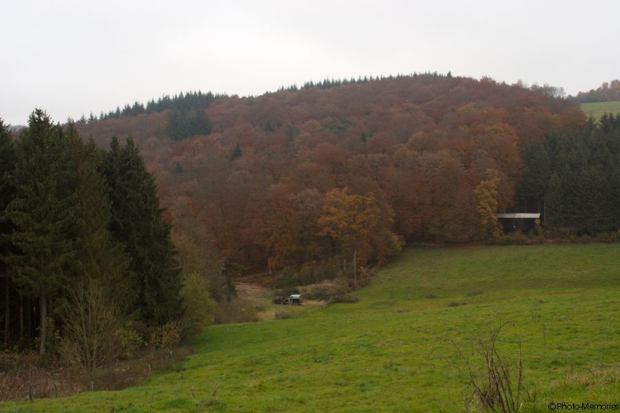 2007-11-02-0041.jpg
