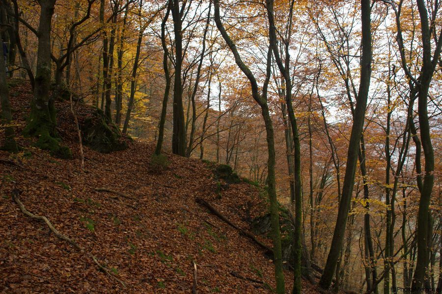 2007-11-03-0057.jpg