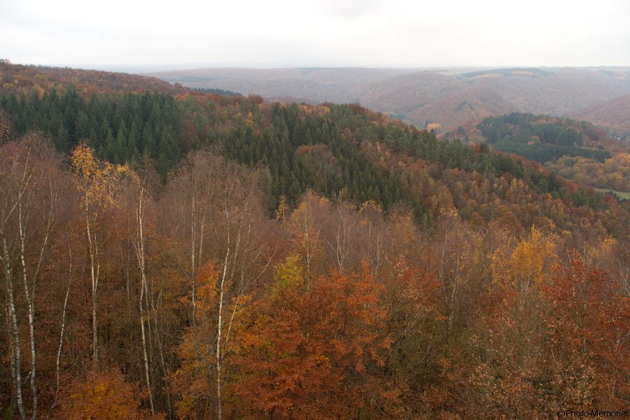 2007-11-03-0066.jpg