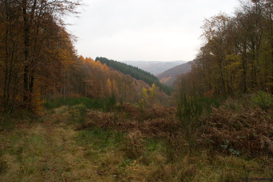 2007-11-03-0068.jpg