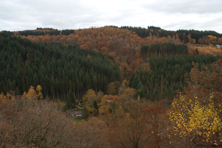 2007-11-04-0113.jpg