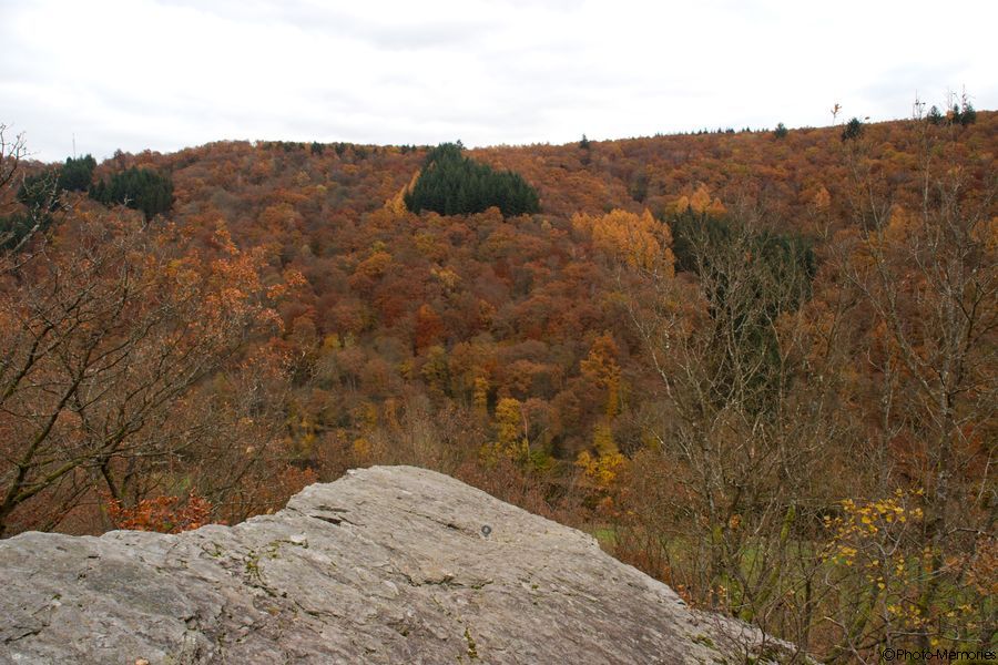 2007-11-04-0115.jpg