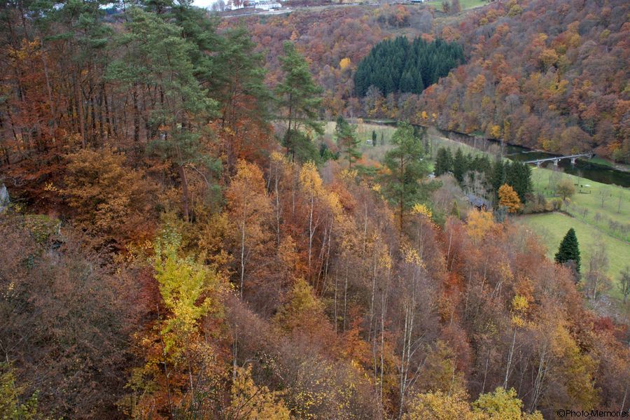 2007-11-04-0117.jpg