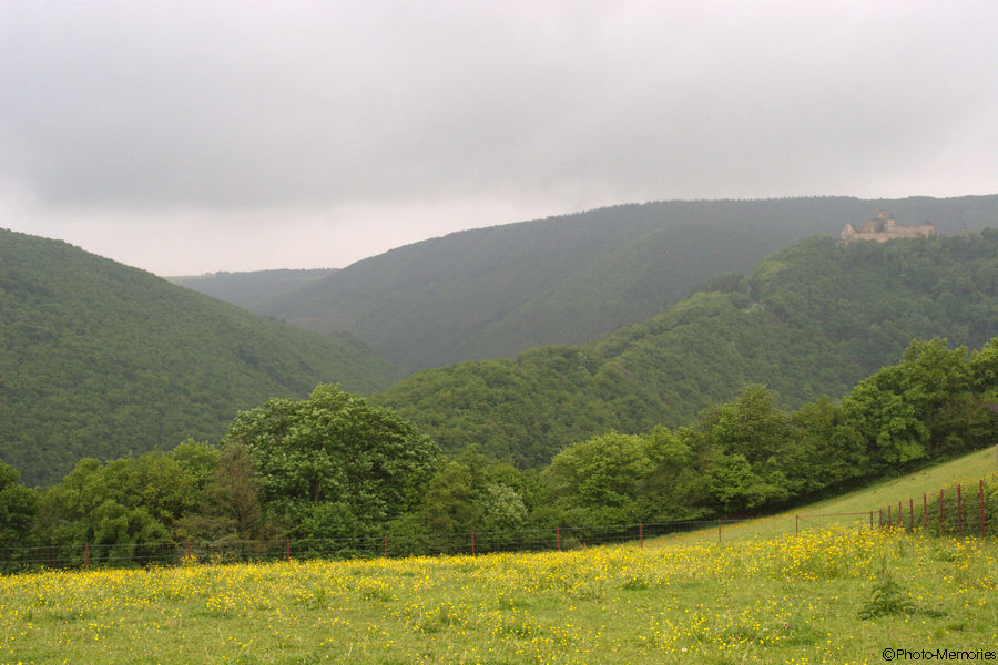 2008-05-18-0038.jpg