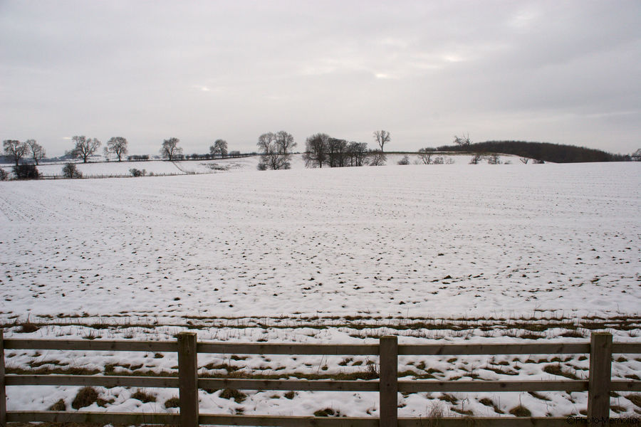 2009-02-14-0007.jpg