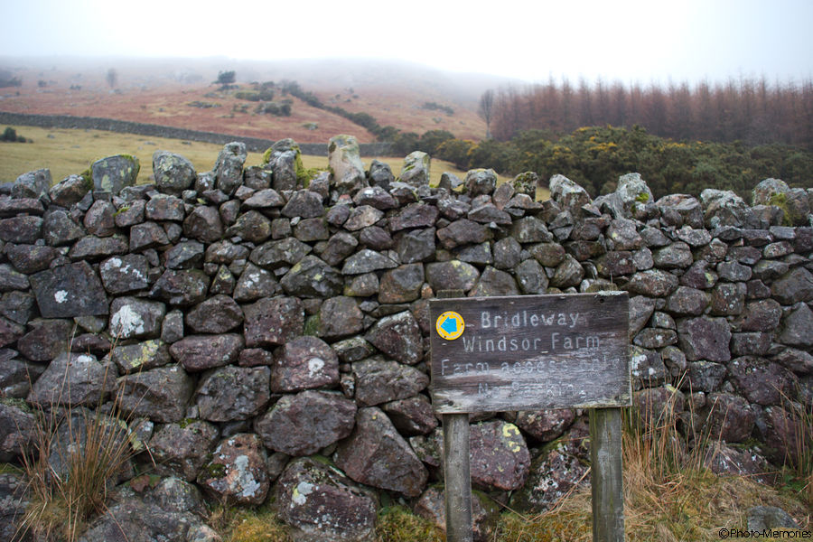 2009-02-15-0015.jpg